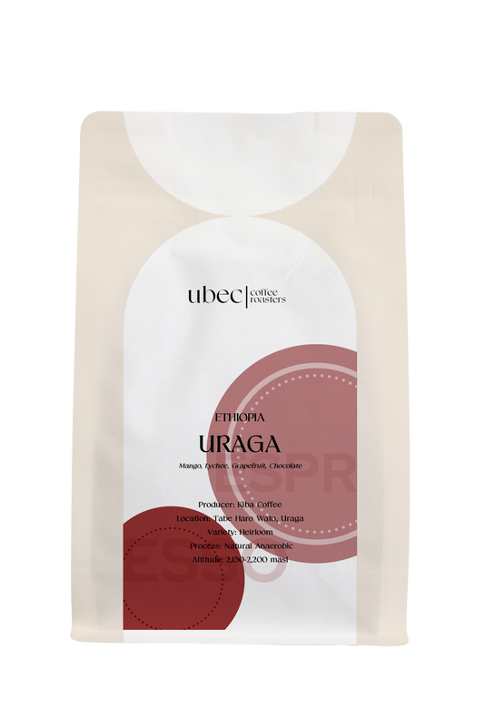 Ethiopia, Uraga